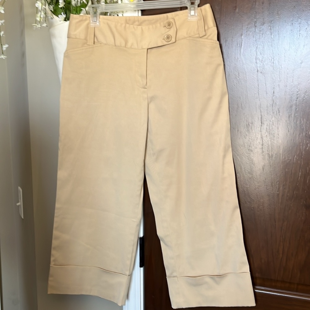Dressy Crops Size 10 Petite NWOT